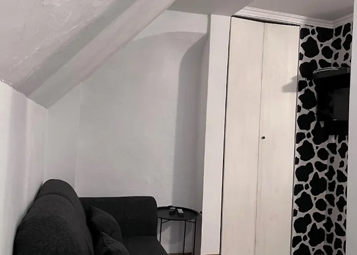 Ana - W Centrum 招待所 库多瓦-兹德鲁伊